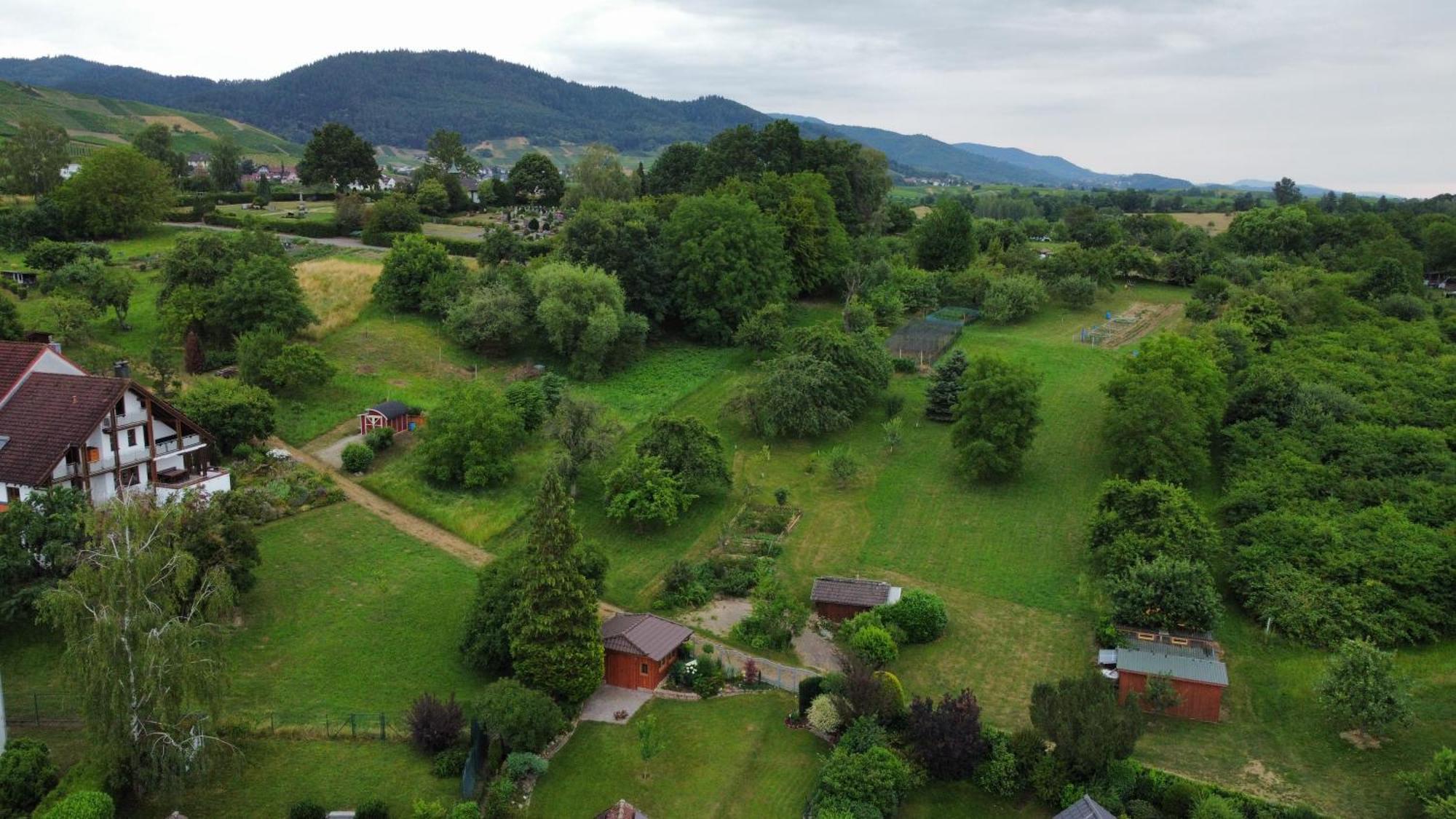 Ferienwohnung Herrnberg Baden-Baden Esterno foto